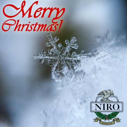 Merry Christmas Everyone from Us All at Niro Fashion