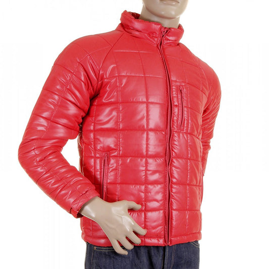 Merry Christmas! Look Your Best this Holiday Season