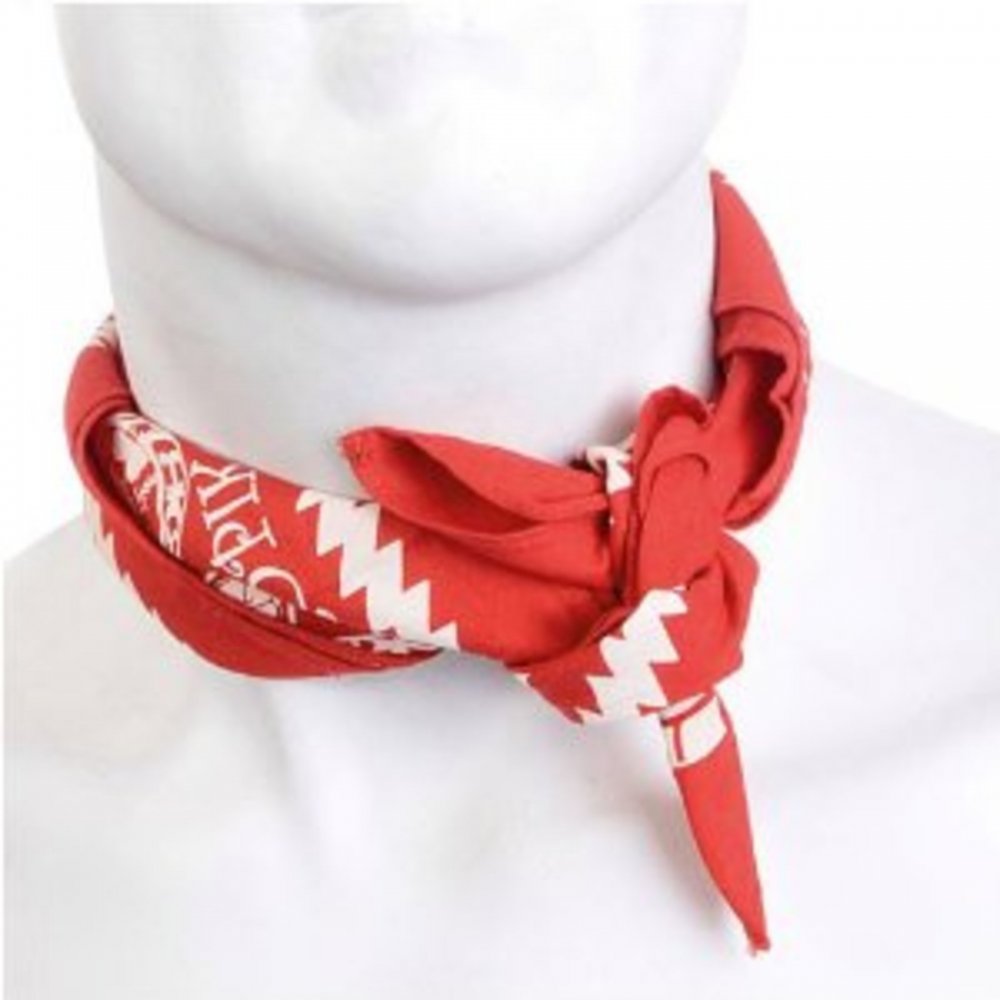 Red Printed Bandana