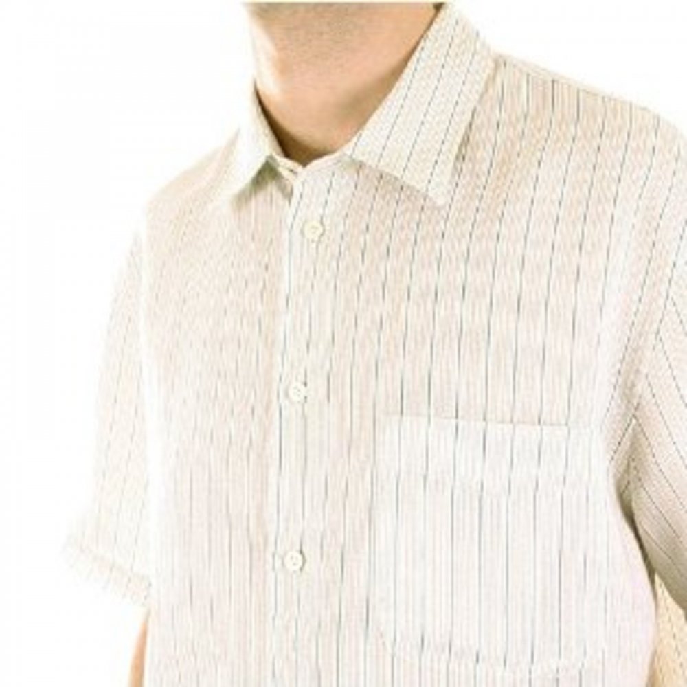 Ramie Vertical Striped Short Sleeve Shirt