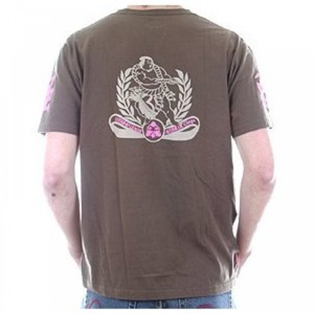 Evisumo Regular Fit Chocolate T Shirt