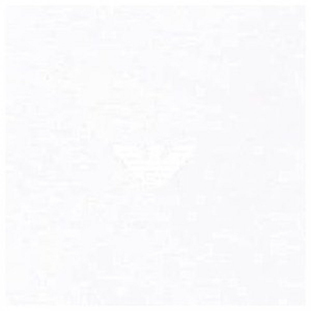 White Regular Fit Short Sleeve Crew Neck T-Shirt