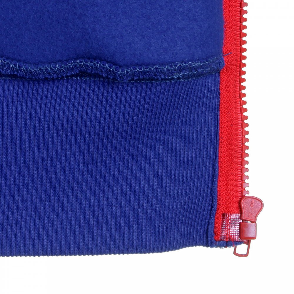 Royal Blue Hooded Zipped Regular Fit Sweatshirt